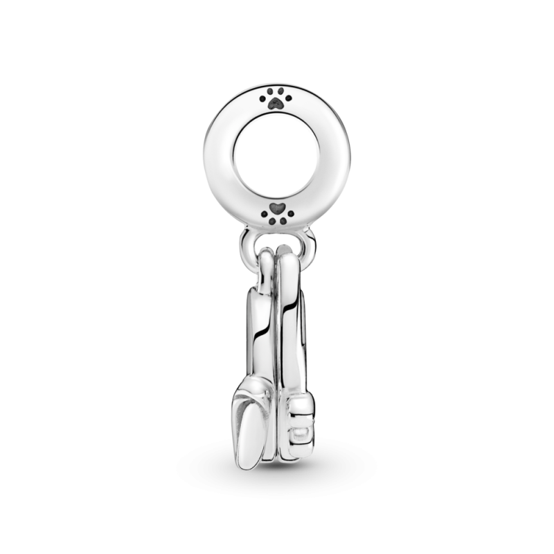 Charm Colgante en plata de ley Mi Gato Mascota 799329C01 | Joyería ...