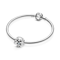 Charm plata Dama de Disney 799386C01 | Joyería River