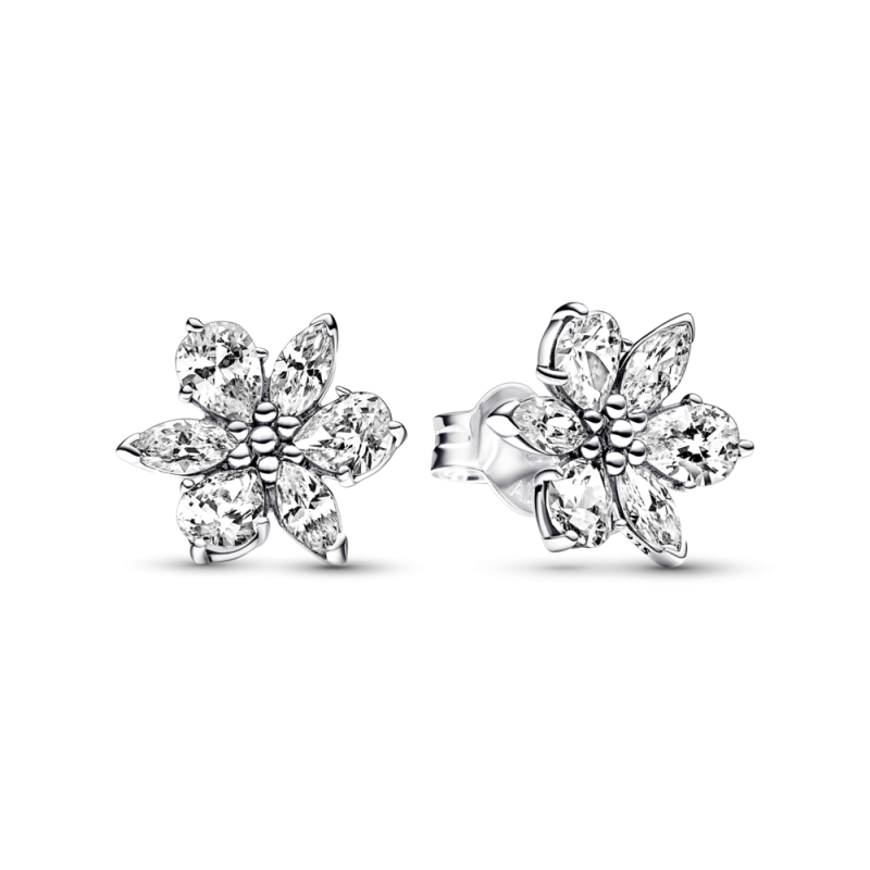 Pendientes Pandora plata Herbario Brillante 292633C01 | Joyería River