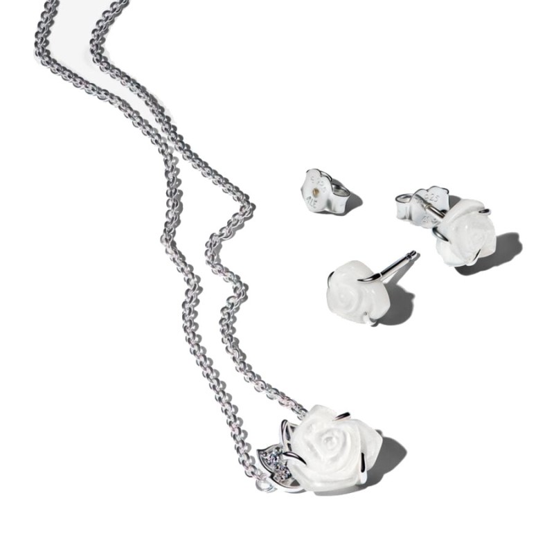 Conjunto de Regalo Rosas B89C2401