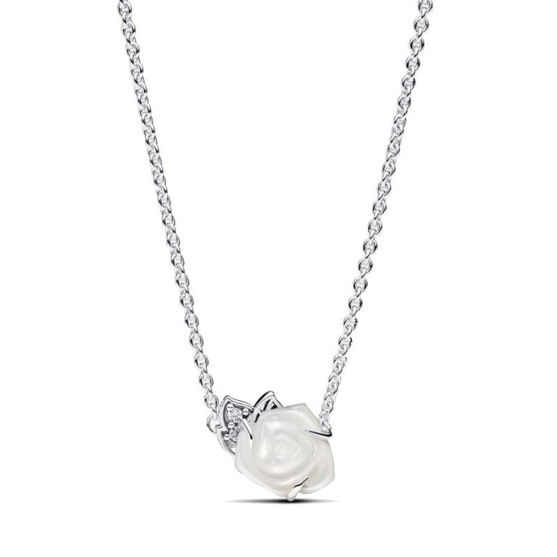 Conjunto de Regalo Rosas B89C2401