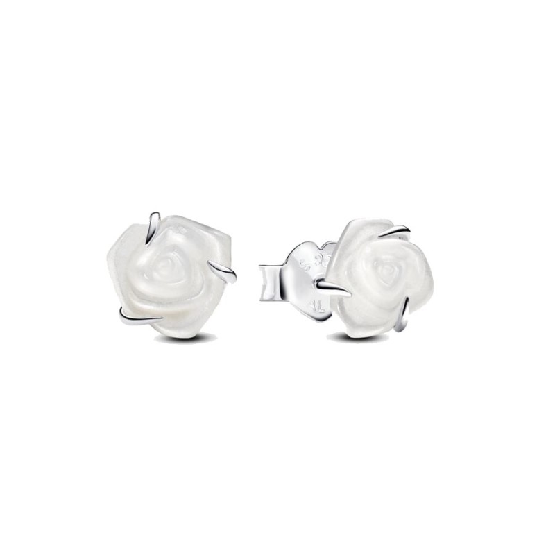 Conjunto de Regalo Rosas B89C2401