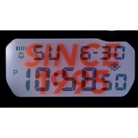 Reloj G-Shock 30 Aniversario DW-6900TR-4ER