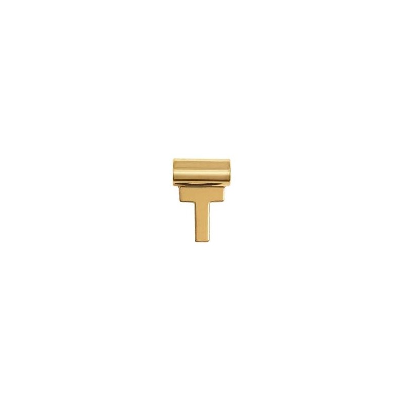 Colgante Nomination Seimia Gold "Letra T" 150406 020