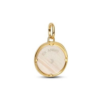 Charm Pandora Medallón Pegaso 764090C01 2