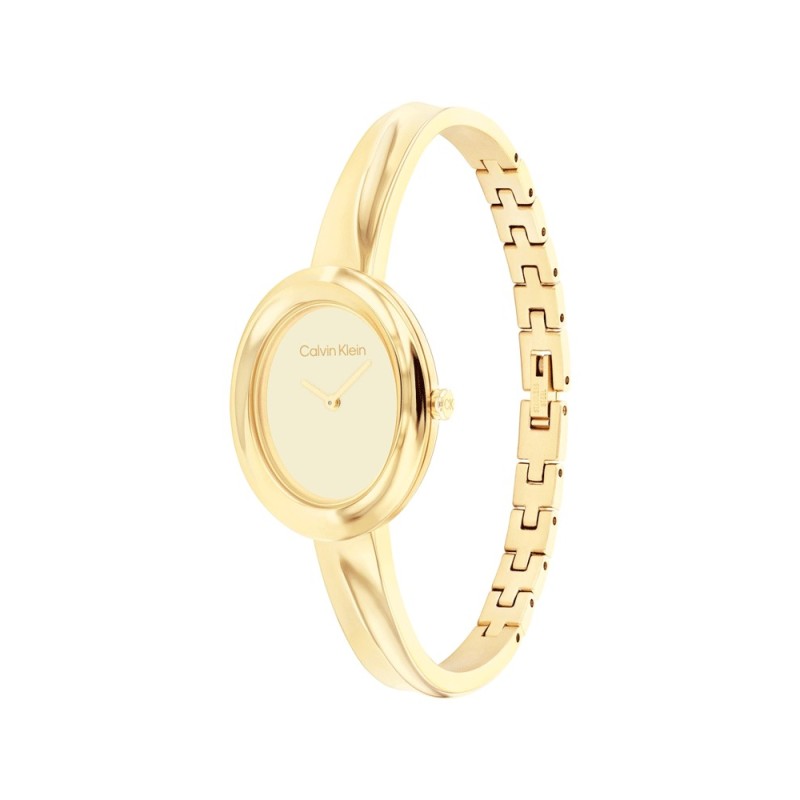 Reloj Calvin Klein Twisted Bezel 25100056