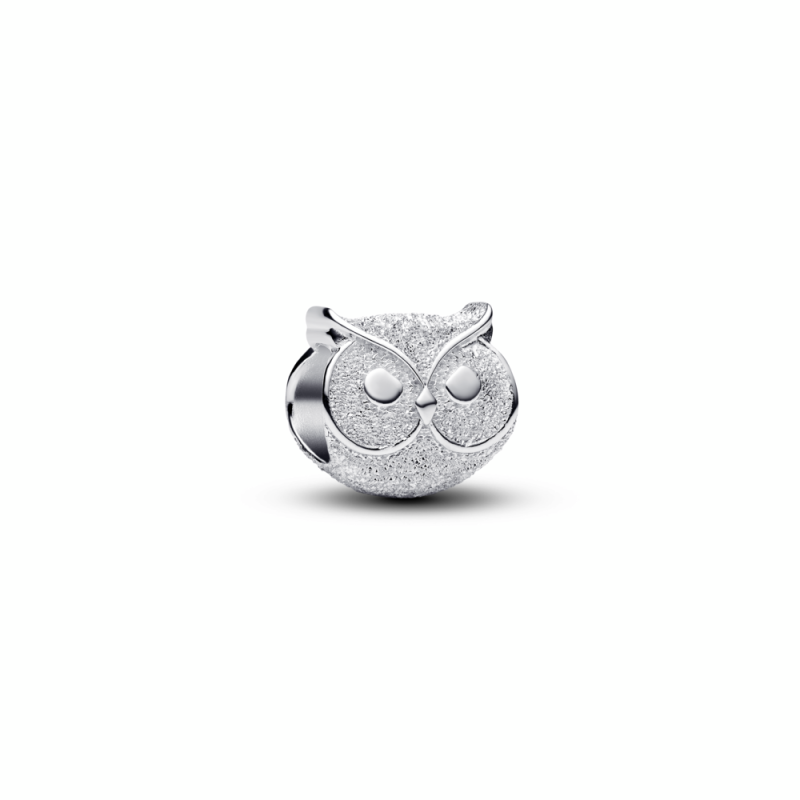 Charm Mini Pandora Búho Textura 794525C00