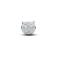 Charm Mini Pandora Búho Textura 794525C00