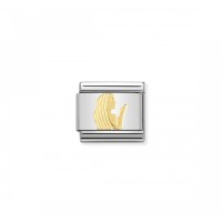 Link Nomination Acero y Oro Virgo 030104 06