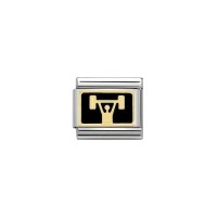 Link Nomination Acero y Oro Gimnasio 030287 13
