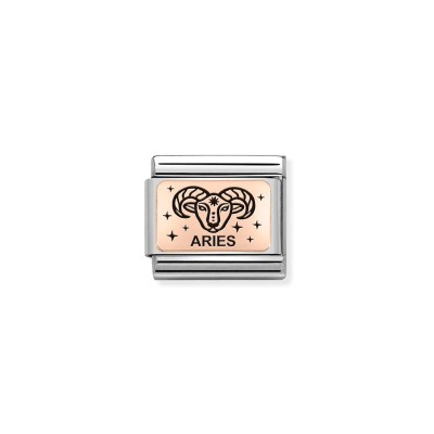 Link Nomination Acero y Oro Rosa Aries 430112 01
