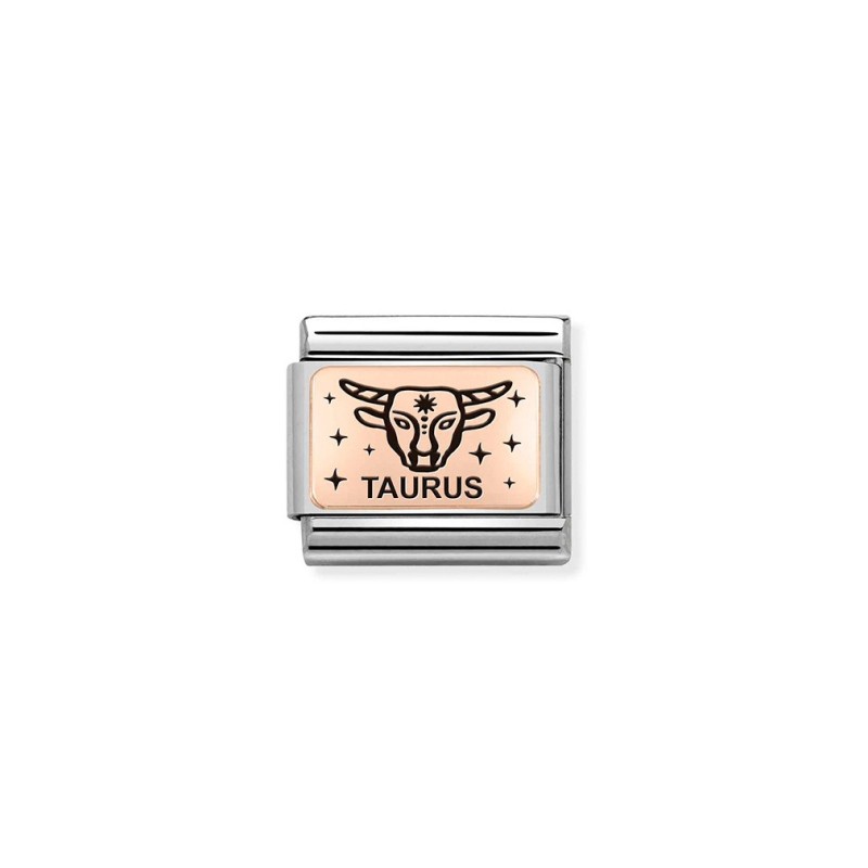 Link Nomination Acero y Oro Rosa Tauro 430112 02