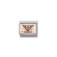 Link Nomination Acero y Oro Rosa Tauro 430112 02