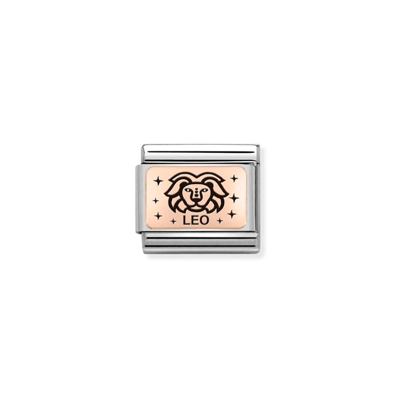 Link Nomination Acero y Oro Rosa Leo 430112 05
