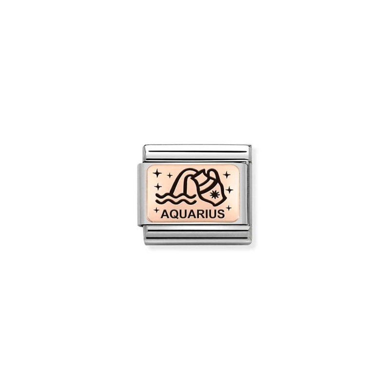 Link Nomination Acero y Oro Rosa Acuario 430112 11