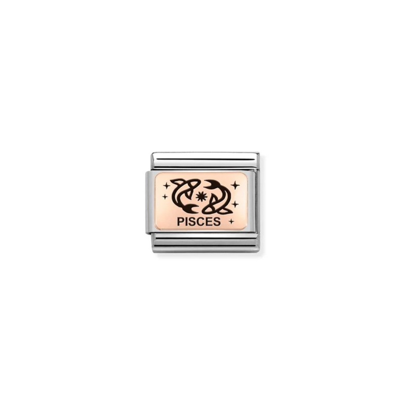 Link Nomination Acero y Oro Rosa Piscis 430112 12