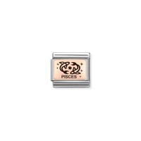Link Nomination Acero y Oro Rosa Piscis 430112 12