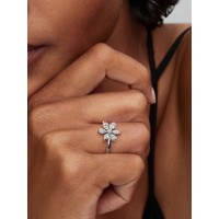 Anillo Pandora Cóctel Herbario Flor Brillante 193000C02