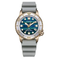 Reloj Citizen Promaster Driver EO2023-00W