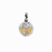 Charm Pandora Medallón en plata  y Dorado Mariposa 764803C01