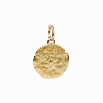 Charm Pandora Medallón Trigo Dorado 764804C01 2