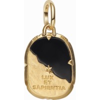 Charm Pandora Medallón Búho Dorado 764805C01