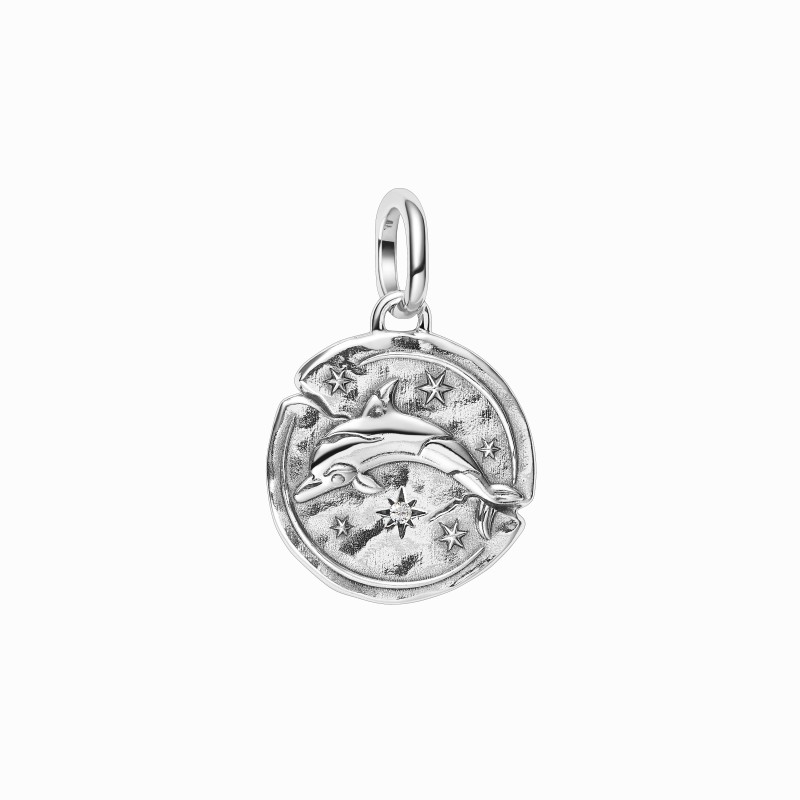Charm Pandora Medallón Delfin Plata 794807C01