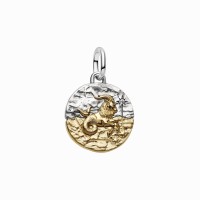 Charm Medallón Pandora plata y dorado Zodiaco Capricornio 764987C01
