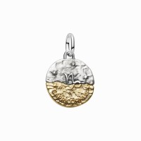 Charm Medallón Pandora plata y dorado Zodiaco Capricornio 764987C01