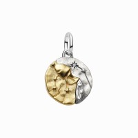 Charm Medallón Pandora plata y dorado Zodiaco Acuario 764990C01