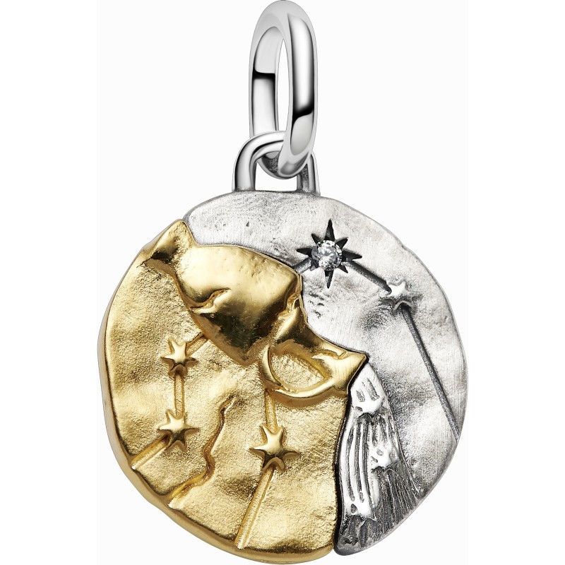 Charm Medallón Pandora plata y dorado Zodiaco Acuario 764990C01