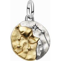 Charm Medallón Pandora plata y dorado Zodiaco Acuario 764990C01