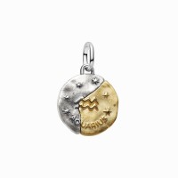 Charm Medallón Pandora plata y dorado Zodiaco Acuario 764990C01