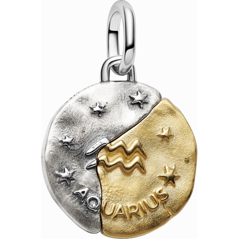 Charm Medallón Pandora plata y dorado Zodiaco Acuario 764990C01