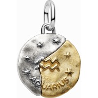 Charm Medallón Pandora plata y dorado Zodiaco Acuario 764990C01
