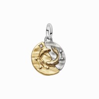 Charm Medallón Pandora plata y dorado Zodiaco Piscis 764991C01